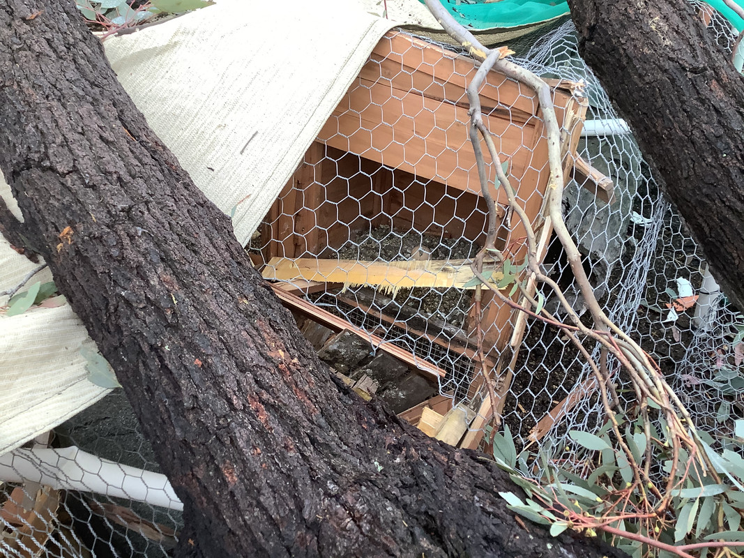 F2E5FDFD-F687-4392-8572-319233C8A345