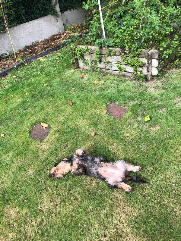 [Image: IMG-20250924-WA0009.jpg]