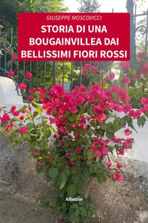 Giuseppe Moscovicci - Storia di una bougainvillea dai bellissimi fiori rossi (2024)