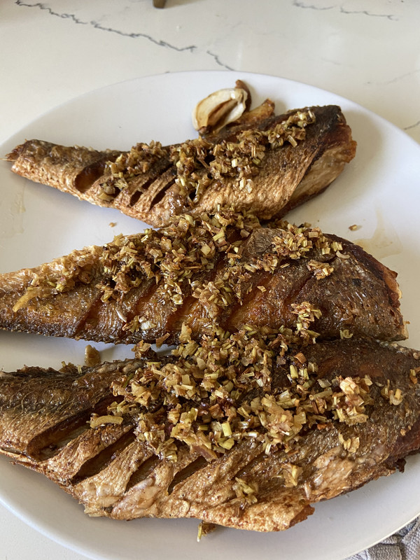 [Image: 8887-B727-D98-B-4836-8-E7-F-76-F19-B86-F555.jpg]