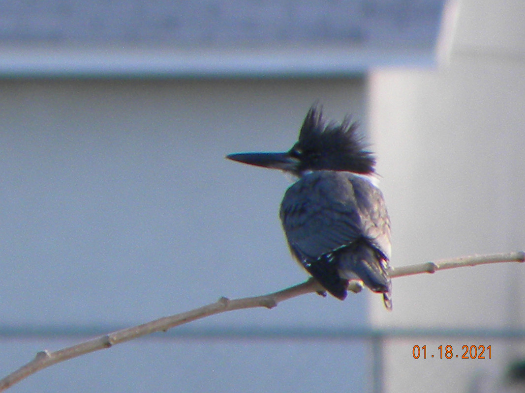 DSCN3152
