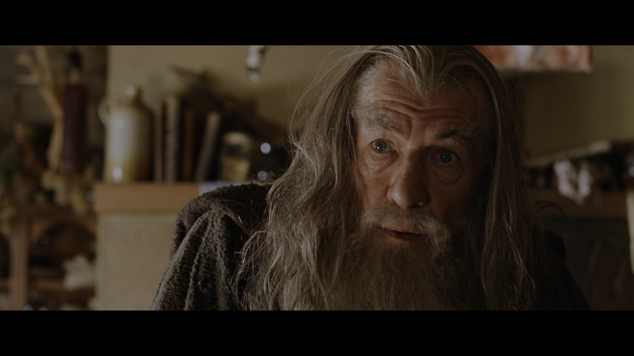 The Lord of the Rings- The Fellowship of the Ring (EXT.) PT. 1.mkv_snapshot_00.17.45_[2020.12.05_21.