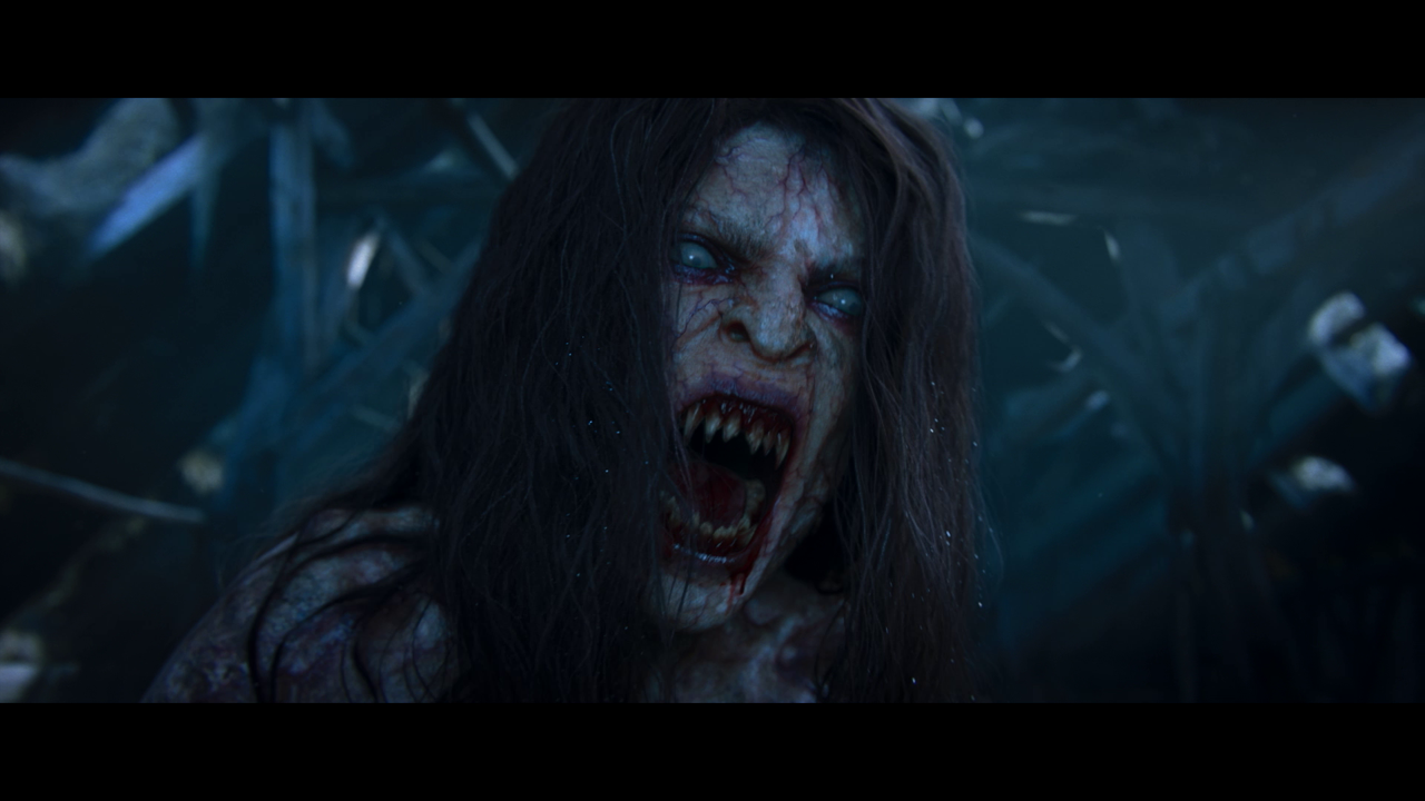 vlcsnap-2025-01-03-13h29m31s009