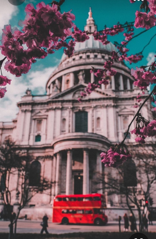 Screenshot_20231002_221033_Pinterest