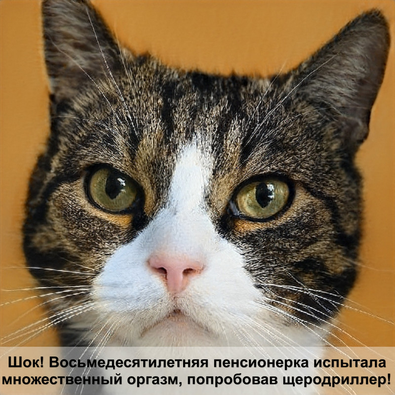 можно ли стричь британских котов