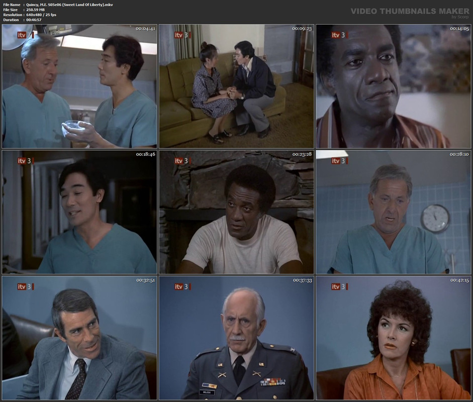 Quincy, M.E. S05e06 (Sweet Land Of Liberty).mkv