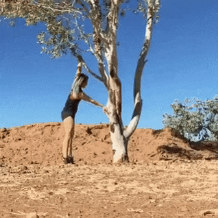 https://i.postimg.cc/CxQtDvt1/2.gif