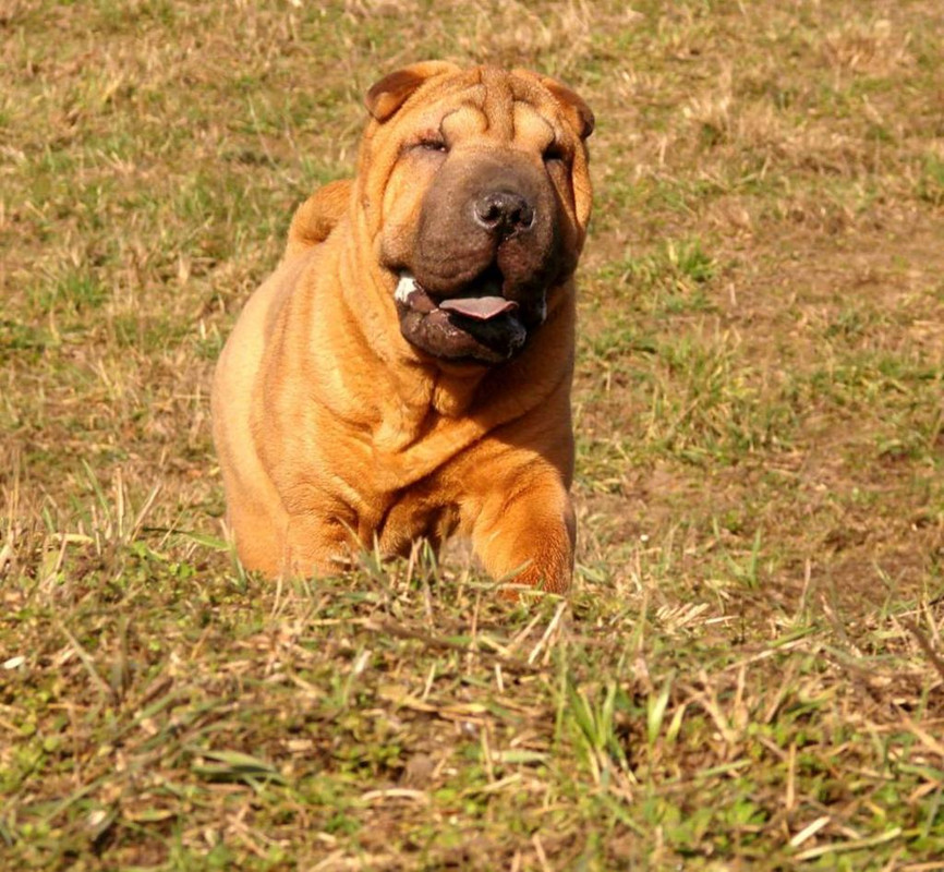 Т.Э. Хеннесси Бьюти Нилл Ворлд.1