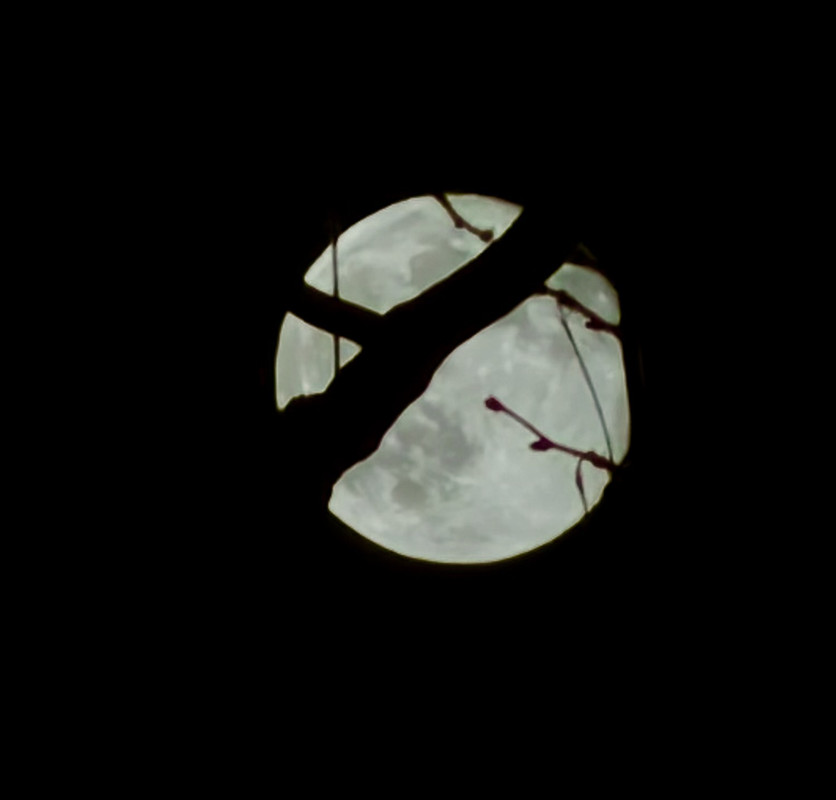 IMG-0125.jpg