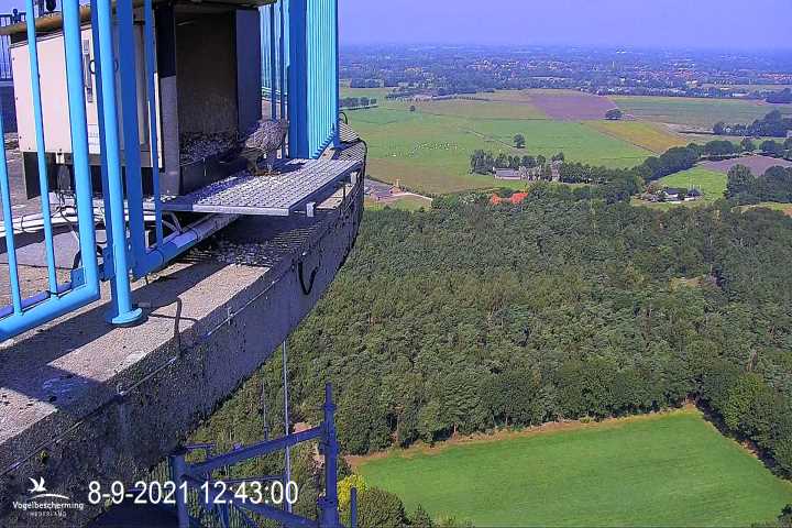 campics vanaf 1 juli © VWGGemert en bonusjes van ter plekke - Pagina 25 V1