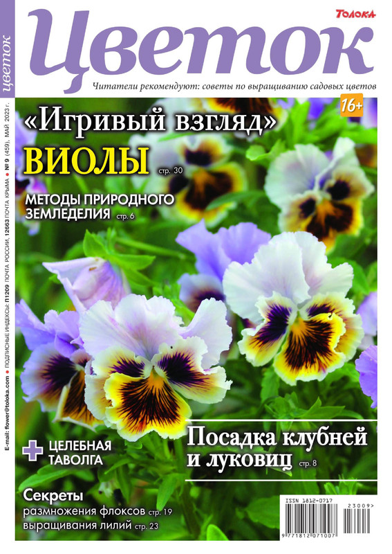 tsvety-092023-1