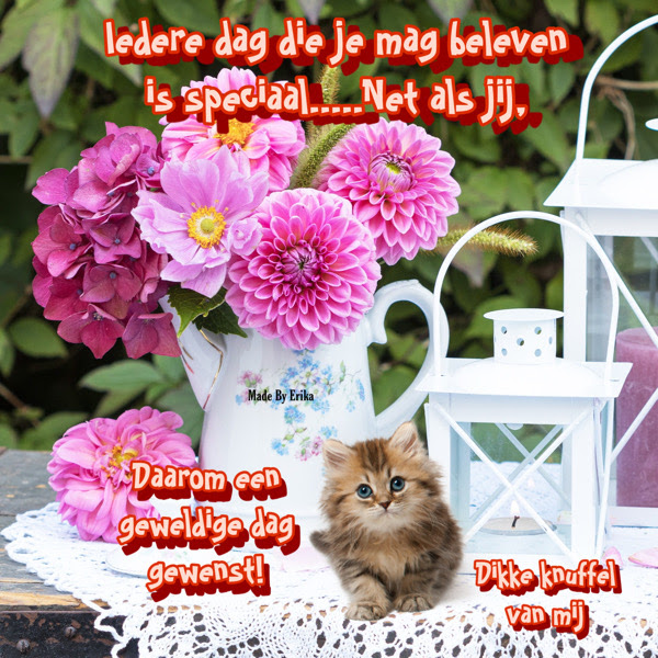 HTML leren