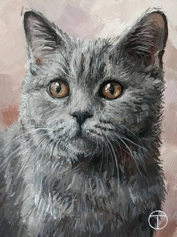 51