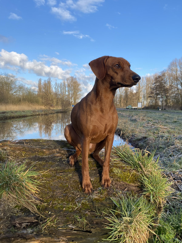 CB0D2D6F-3BD7-4EDF-99AD-C9AC5E798844