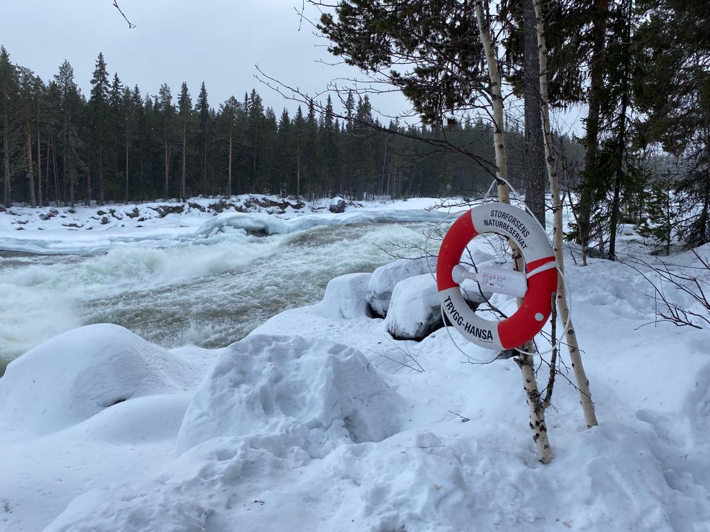 208CEC18-5547-4439-A6E6-0DB9835126A1