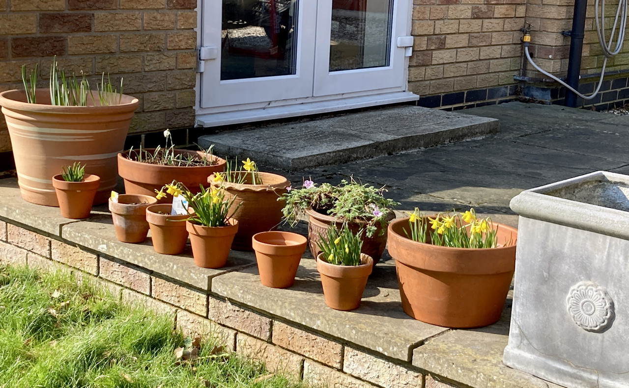 17EB7796-EE80-49AD-8C02-16B7B6B5011F