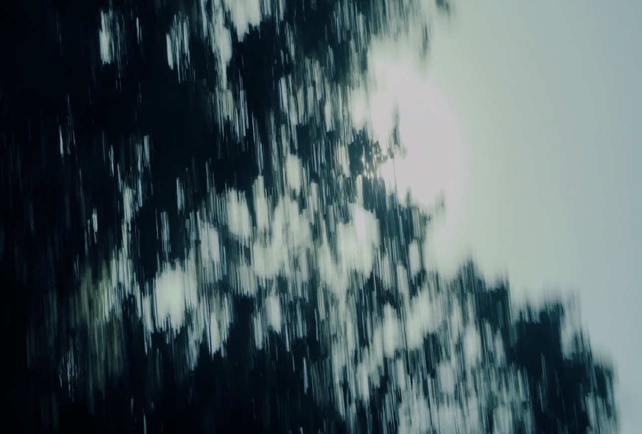 IMG-1201.jpg