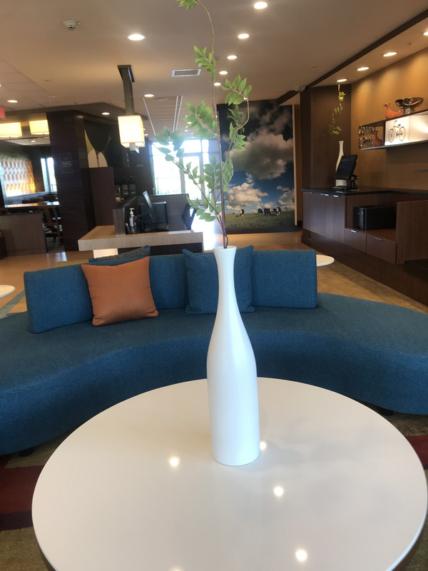 F30E9913-E248-43DF-AEB2-ACA283C76860