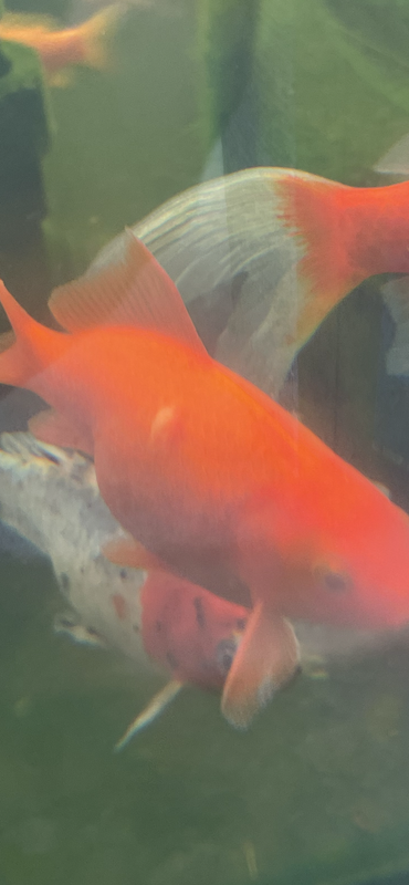 D01F7B6C-C200-4AF0-B262-7D216DFBB168