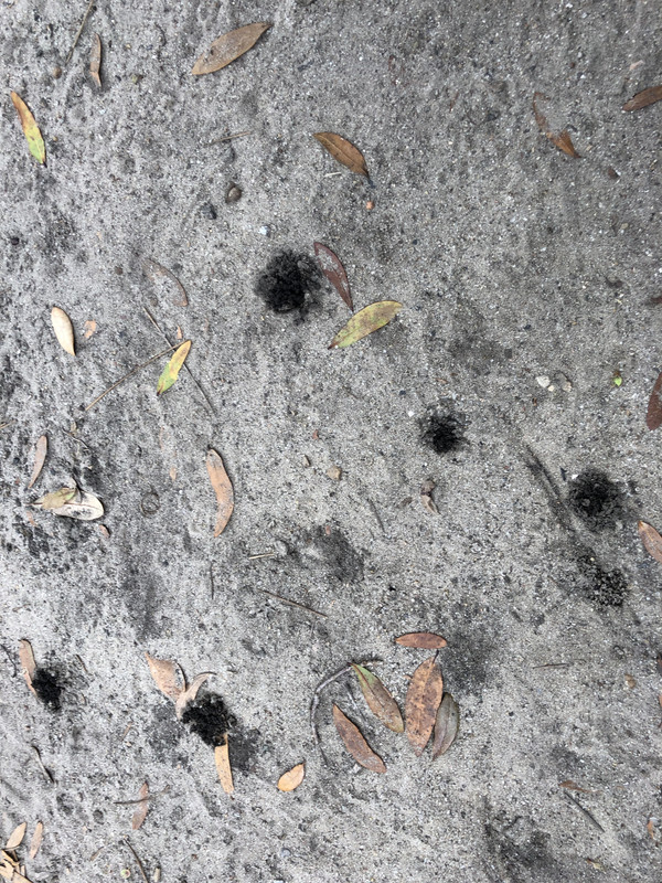 165F1C1F-0544-4300-8692-490277EAE889