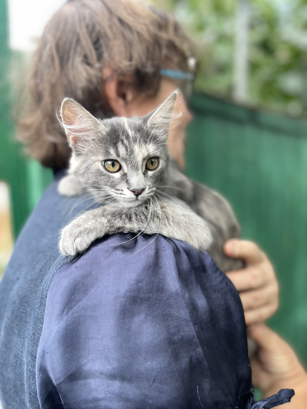 82D2156A-94BE-4348-B936-677E6DFB04AC