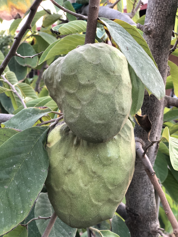 E525F611-239E-45AC-9E2F-D7A662585E61