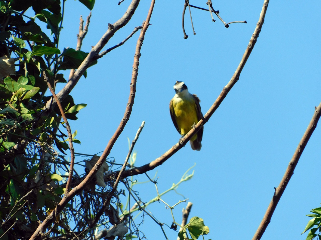 DSCN3845.jpg