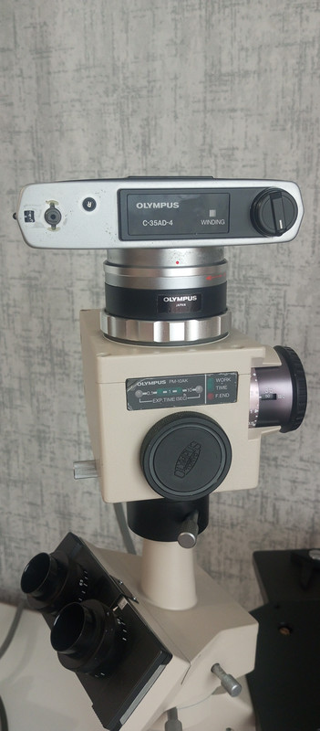 IMG 20251114 091840 685