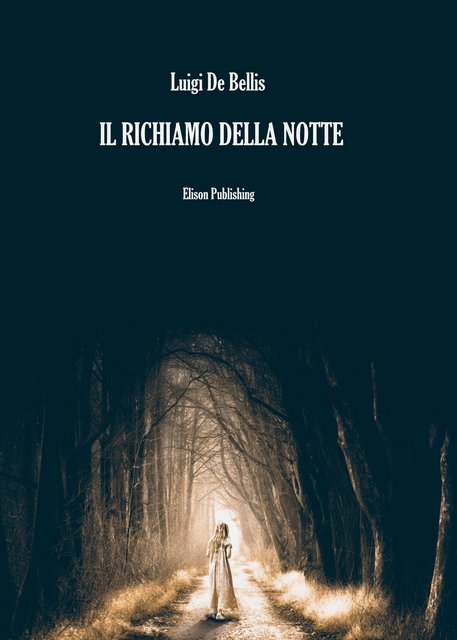 Luigi De Bellis – Il richiamo della notte (2021)