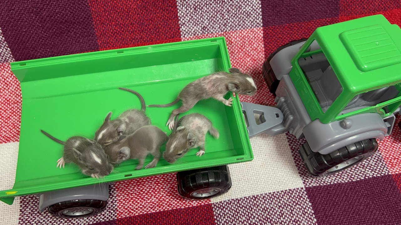 B7966BB5-48C7-4204-A504-A6199CBA81DC