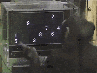 Wow-18