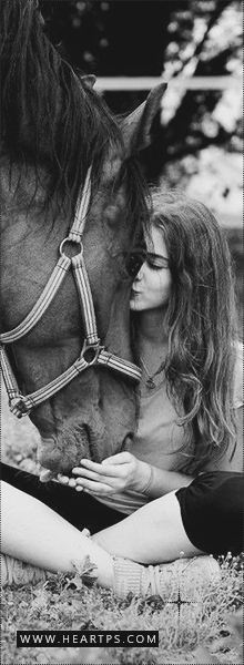 ���� ���� ������ �� ���� ������