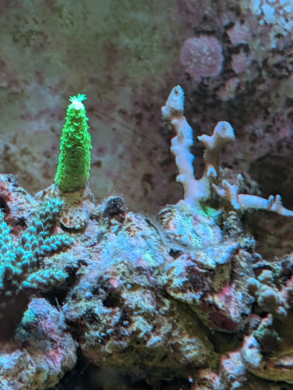 PXL 20260226 201619245