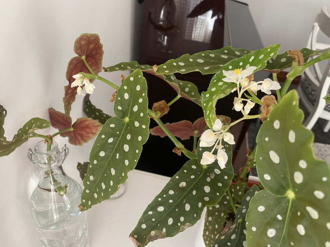 8C92A603-9A14-4A73-ACCD-805D796FD68B