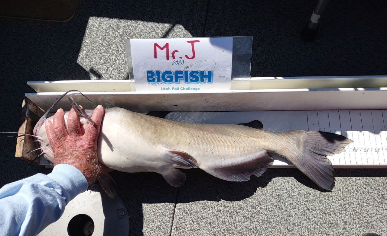 IMG_20230905_121710440 (1)