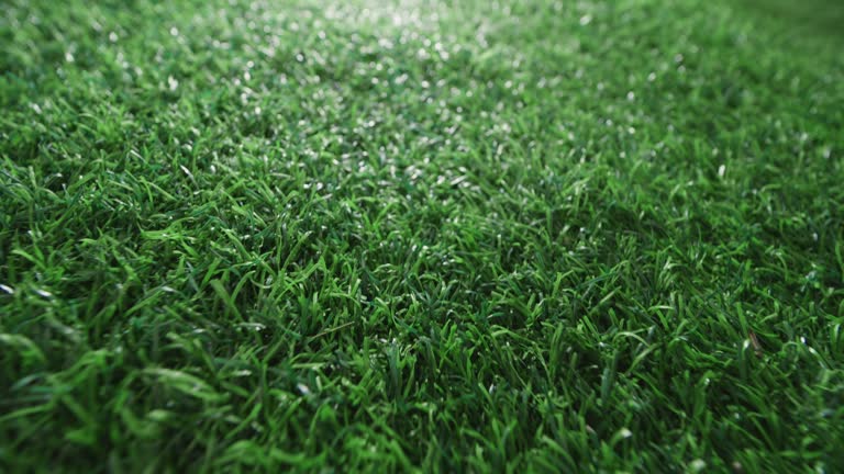 synthetic turf cost