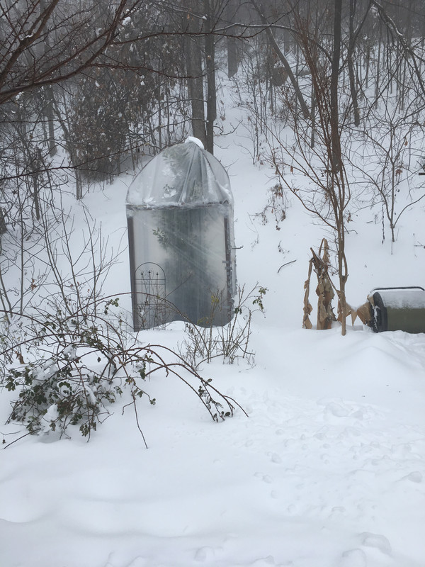 B94AF57F-2C04-44FB-B915-50749E3C6B8E