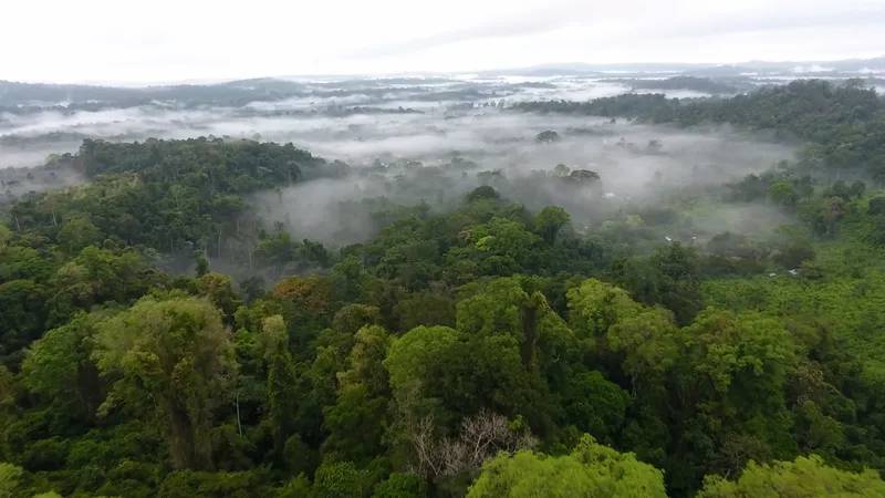 The Most Diverse Ecosystems In The World