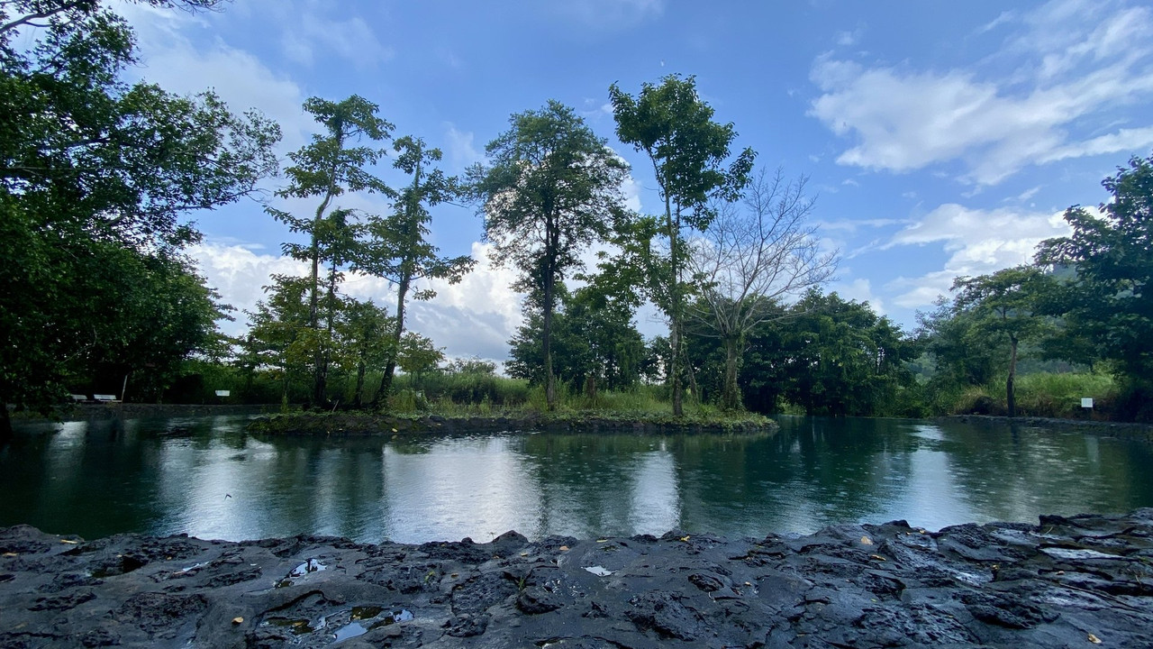 Banner image of the blog