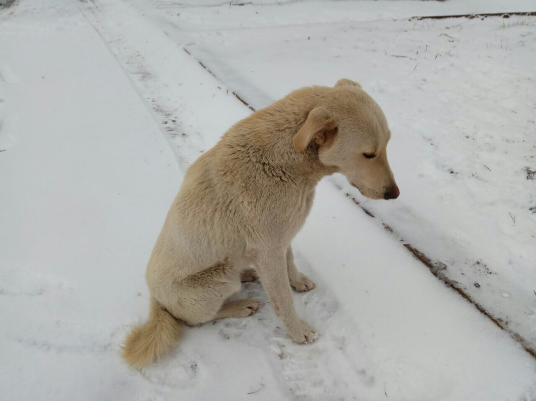 277E254A-2E96-426D-8EE6-B4F0CC324B52