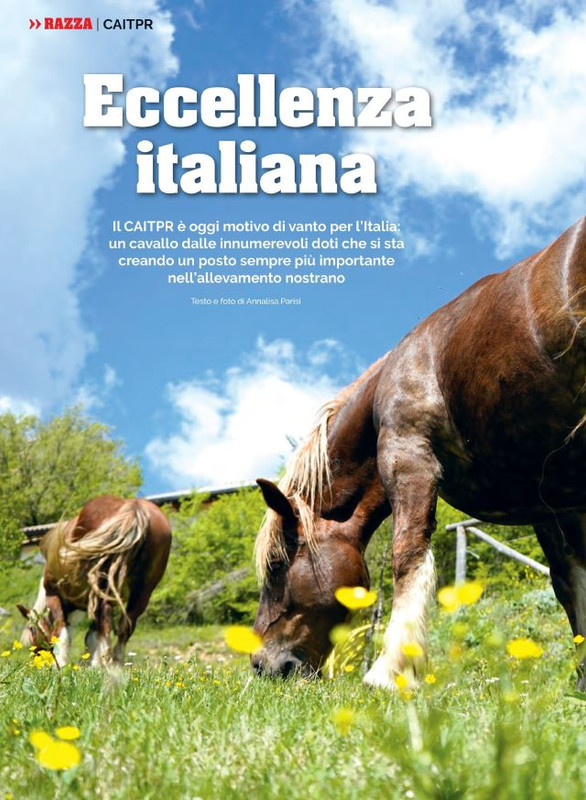 Il Mio Cav (Set 2022) 7