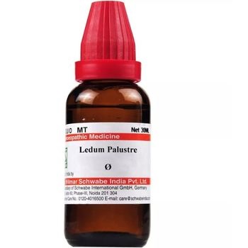 Willmar Schwabe India Ledum Palustre 1X (Q) (30ml)