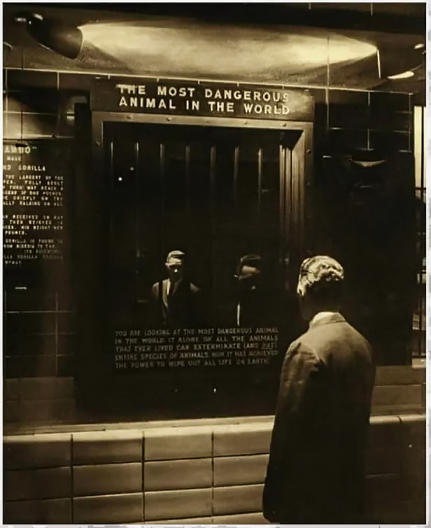 Το 1963 στον ζωολογικό κήπο της Ν. Υόρκης σε μια γωνία υπήρχε έκ