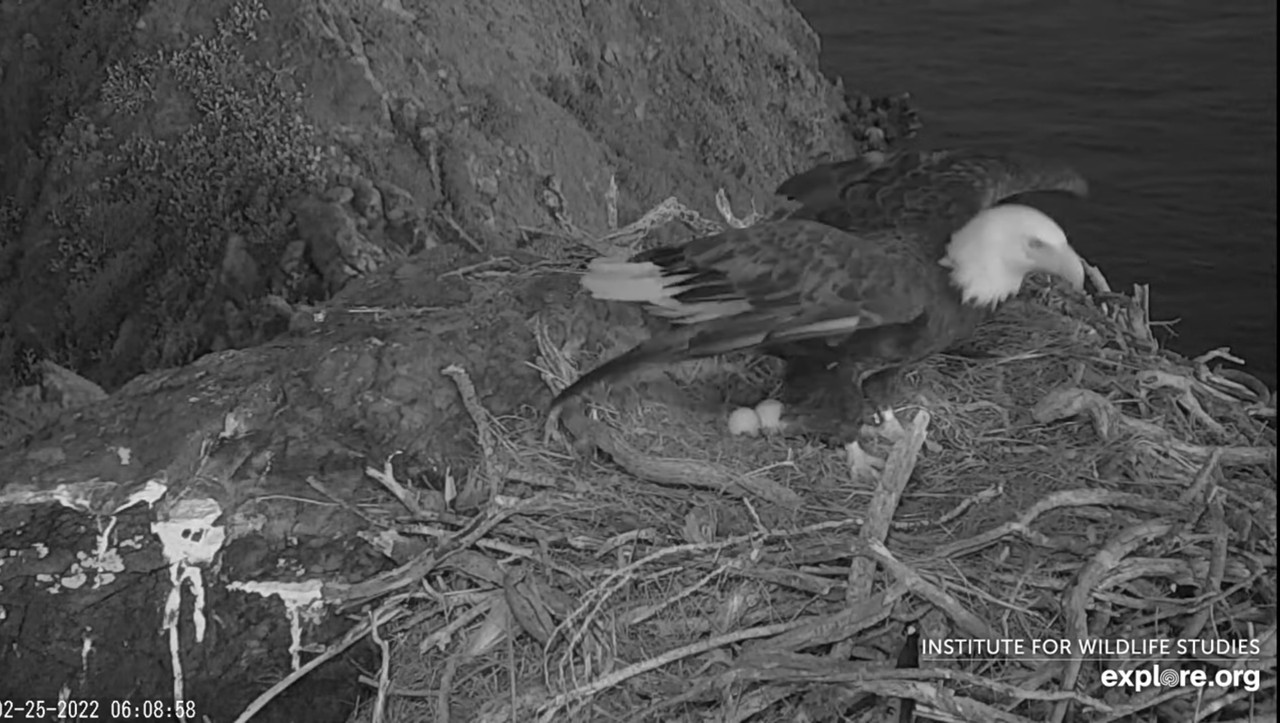 C71E9DFD-B6AF-4FDF-B34A-375F87062AEC