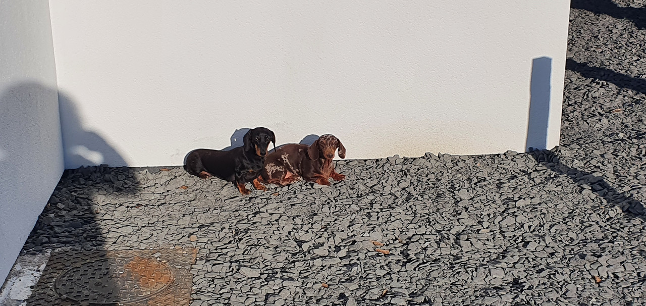 [Image: 20220319-171532.jpg]