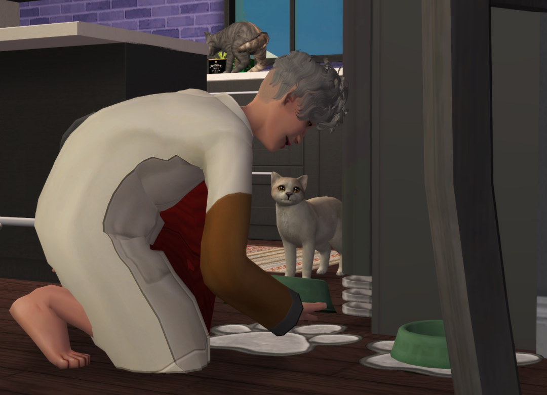 Sims2-EP9-RPC-2023-06-17-19-14-35-43