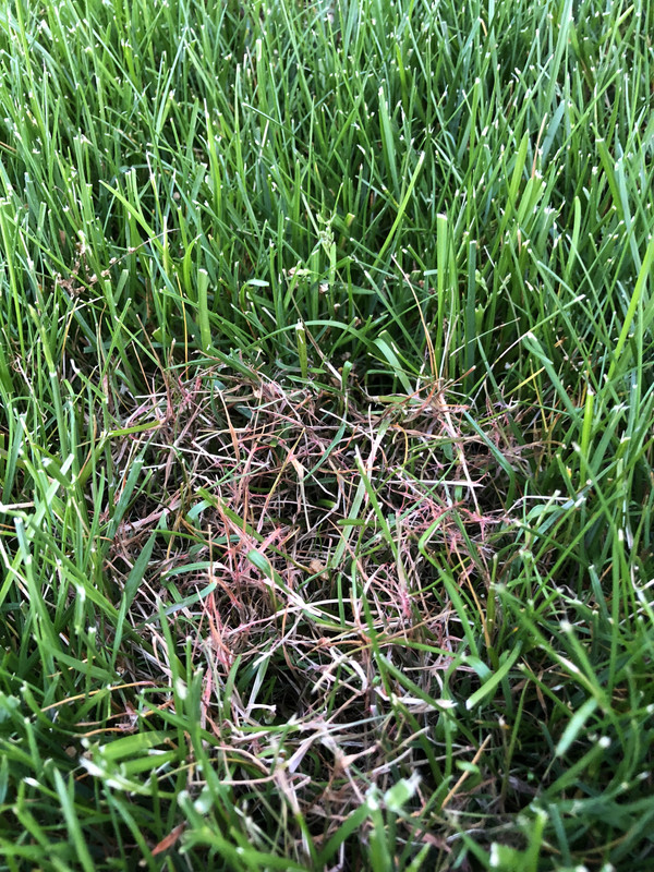 8DD9DAD4-7462-49B2-A206-6115B4F4A628