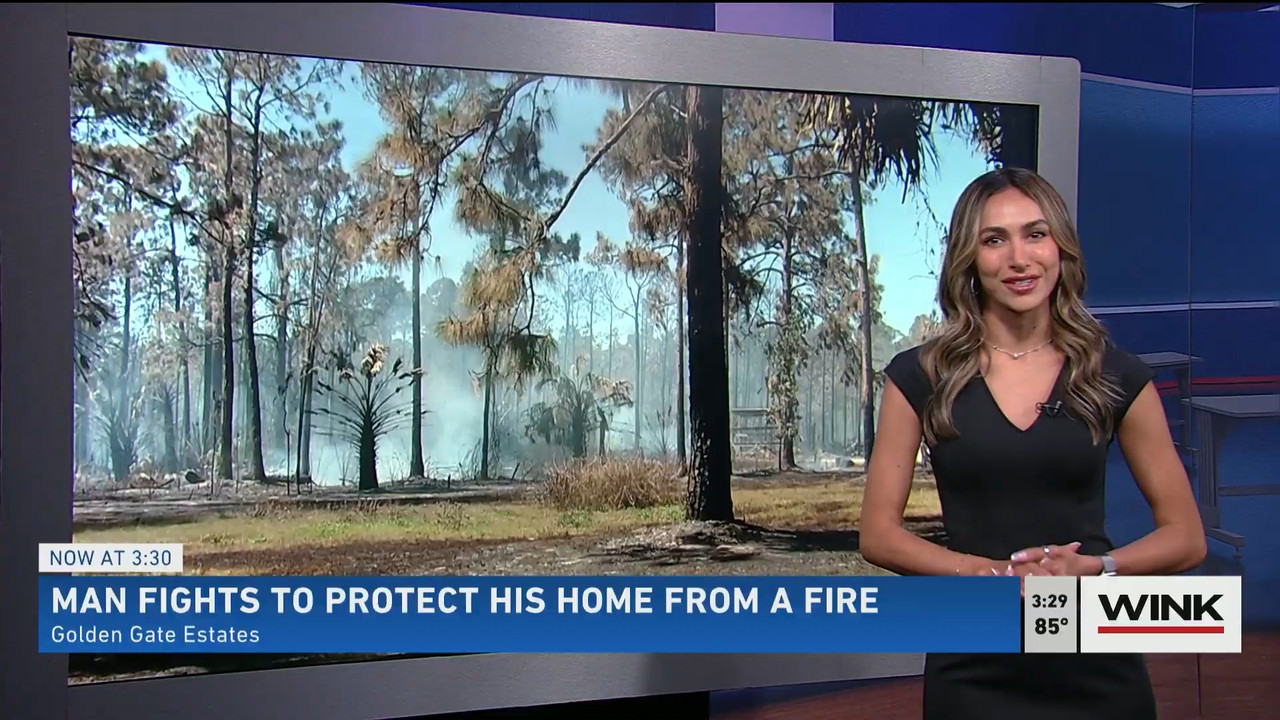 03.09 - 20.00.00 - WINK News at 3pm  ᴺᵉʷ..ts_snapshot_00.35.15.350