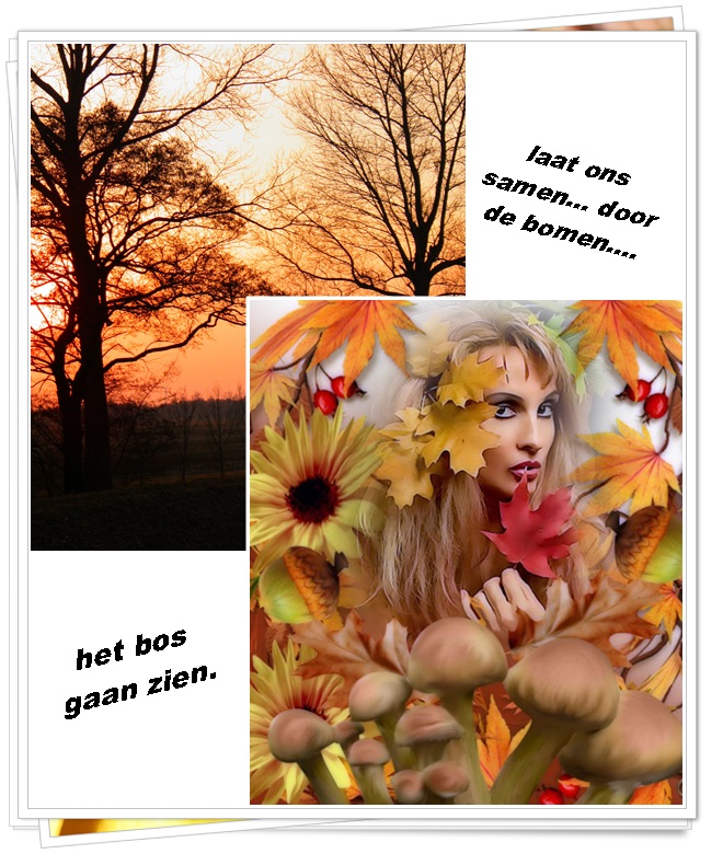 Klik op de afbeelding om de link te volgen