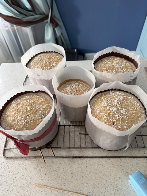 изображение_viber_2025-04-14_20-46-00-456